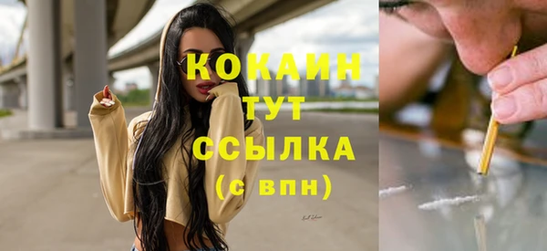 сатива Тутаев