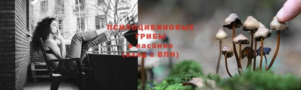 mdpv Тында
