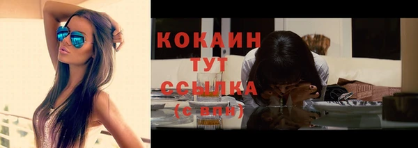 тгк Туринск