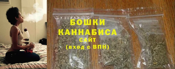 сатива Тутаев
