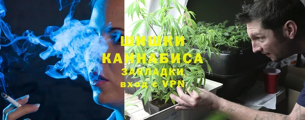сатива Тутаев