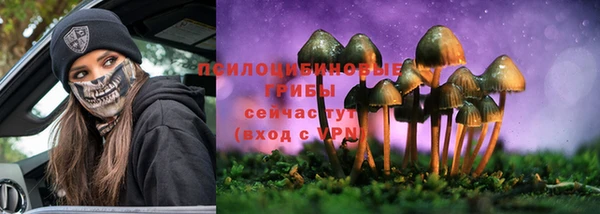 mdpv Тында