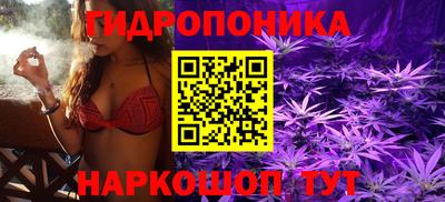крисы Краснокаменск