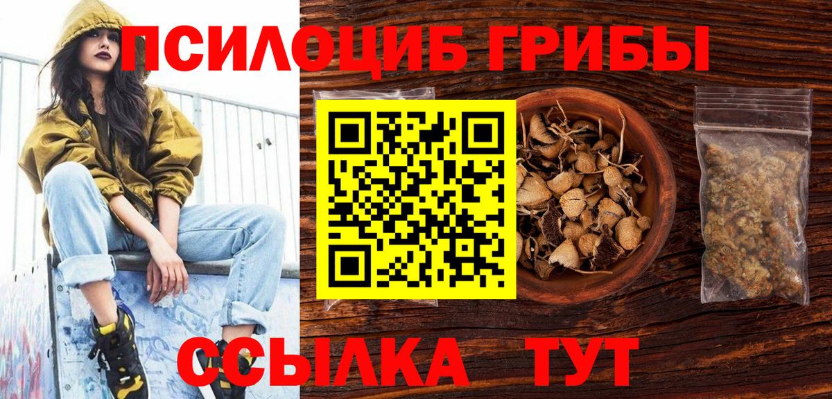Липецк  Галлюциногенные грибы Psilocybine cubensis  Вход с VPN 