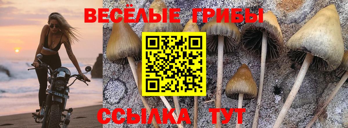 Псилоцибиновые грибы Cubensis  магазин  наркотиков  Липецк 