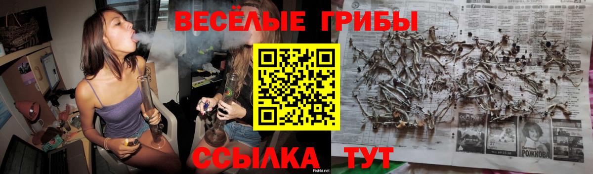 Псилоцибиновые грибы Psilocybine cubensis Липецк