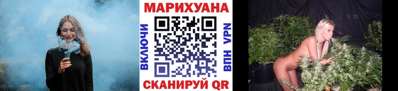 Каннабис сатива  Липецк 